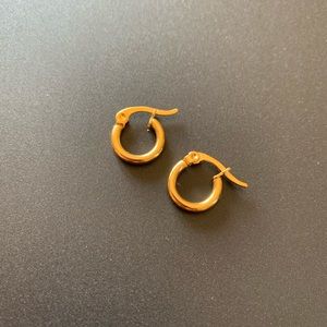 Stainless steel biggie earrings